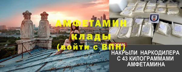 шишки Алексеевка