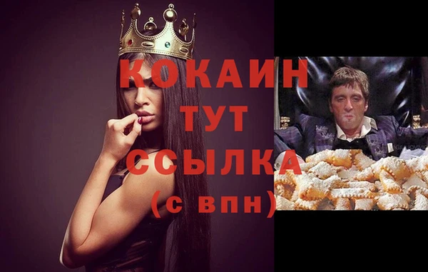 дурь Алексин