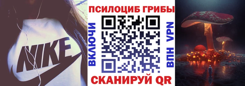 Галлюциногенные грибы GOLDEN TEACHER  Петровск 