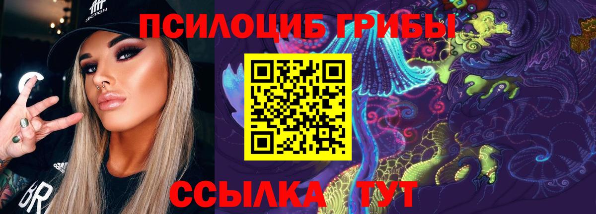 Галлюциногенные грибы Psilocybe Петровск